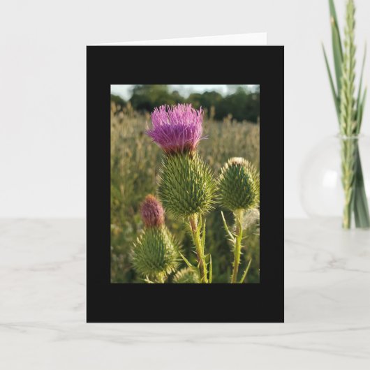 Burdock Thistle-kaart Kaart (Voorkant)