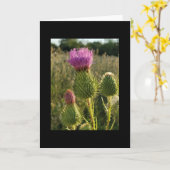 Burdock Thistle-kaart Kaart (Gele Bloem)