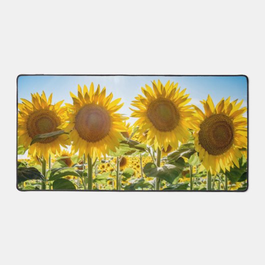 bureaumat (Voorkant)