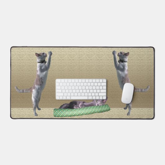 Bureaumat - Katten bij Spelen (Keyboard & Muis)