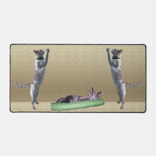 Bureaumat - Katten bij Spelen (Voorkant)