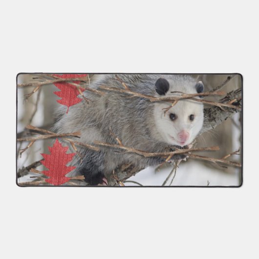 Bureaumat Opossum Natuur Wildlife (Voorkant)