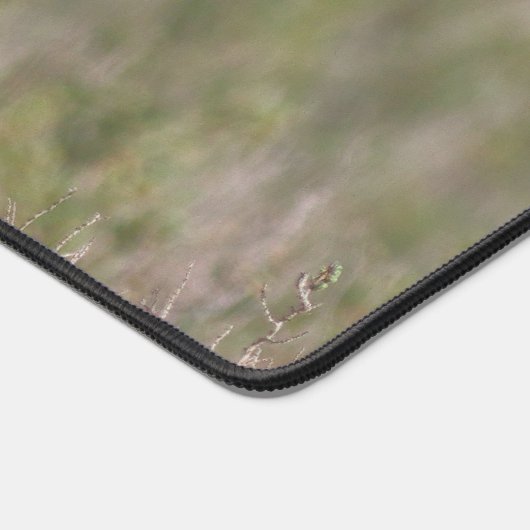 Bureautiekapjes voor vogels bureaumat (Hoek)