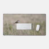 Bureautiekapjes voor vogels bureaumat (Keyboard & Muis)