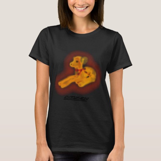 Burgerjonghertje T-shirt (Voorkant)