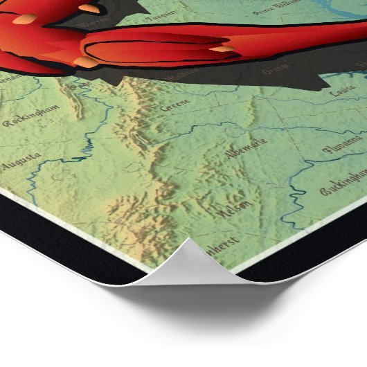 Burgerkrab van Maryland Poster (Hoek)