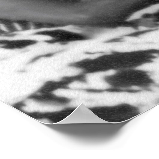 Burgerrechten Poster (Hoek)