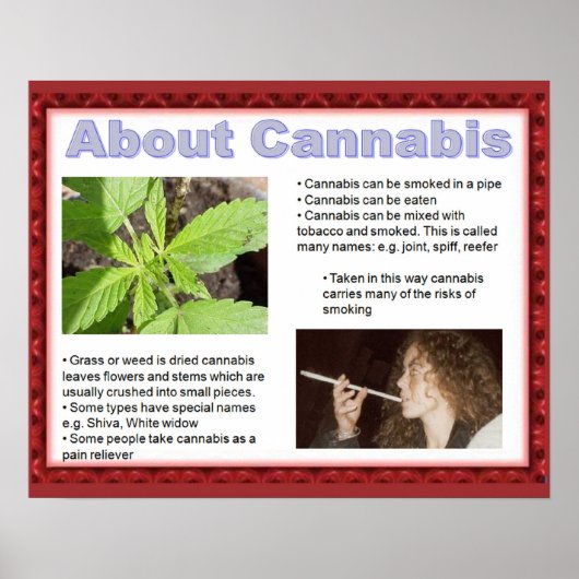 Burgerschap, levensvaardigheden zeggen gewoon nee! poster (Voorkant)