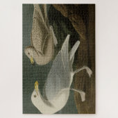 Burgomaster Gull - van de Amerikaanse vogels van A Legpuzzel (Verticaal)