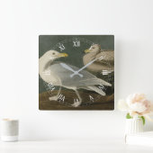 Burgomaster Gull - van de Amerikaanse vogels van A Vierkante Klok (Huis)