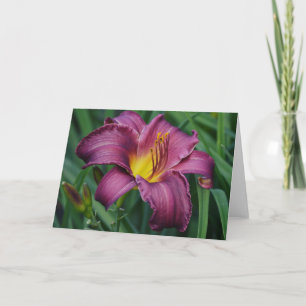 Burgundy Day Lily Blank Note Kaart