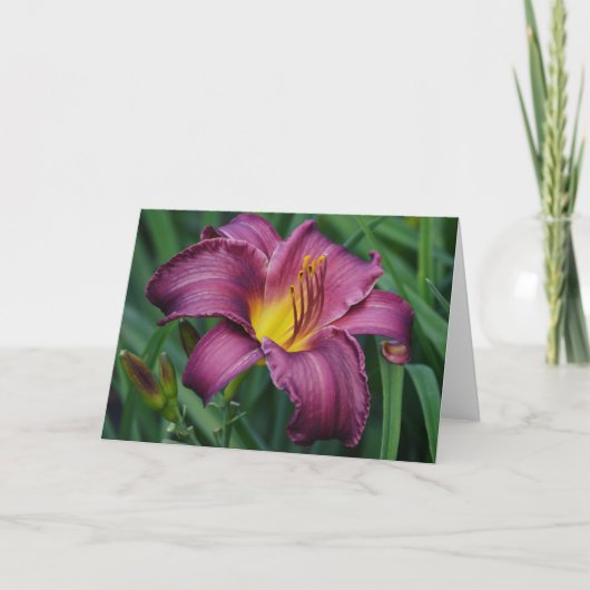 Burgundy Day Lily Blank Note Kaart (Voorkant)