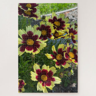 Burgundy en Geel Coreopsis, San Mateo Legpuzzel