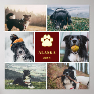 Burgundy Golden Paw Print 6 Photo Collage Dog