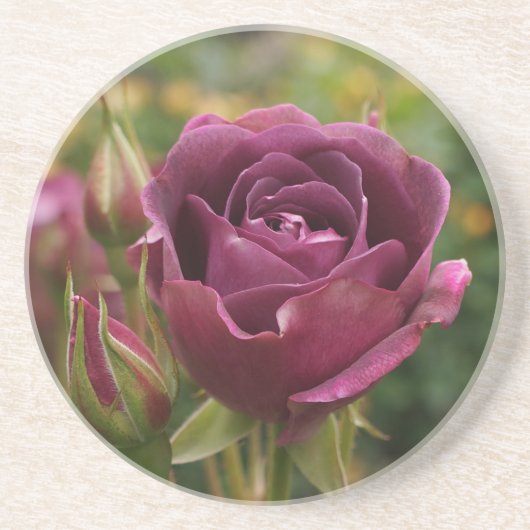 Burgundy Iceberg Roos #1-2 Sandstone Onderzetter (Voorkant)