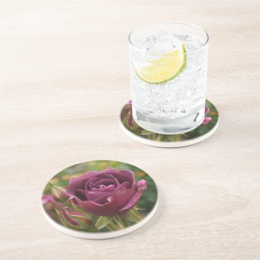 Burgundy Iceberg Roos #1-2 Sandstone Onderzetter (Zijkant)