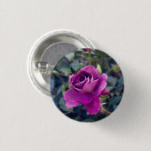 Burgundy Iceberg Roos #2 Button (Voorkant /achterkant)