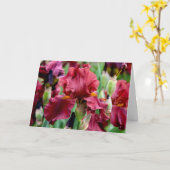 Burgundy Iris Bloem Wenskaart (Leeg van Binnen) Kaart (Gele Bloem)