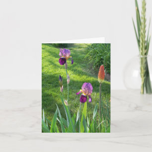 Burgundy Iris... Kaart