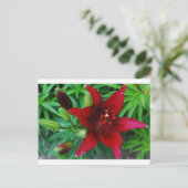 Burgundy Lily Briefkaart (Staand voorkant)