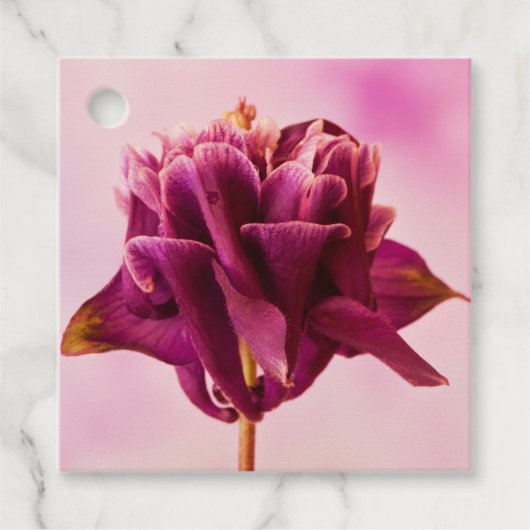 Burgundy Pink Columbine Bedankjes Labels (Voorkant)