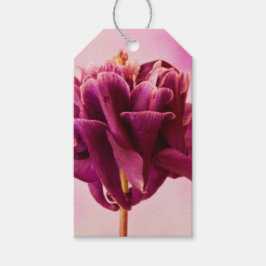 Burgundy Pink Columbine Cadeaulabel