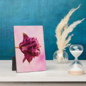 Burgundy Pink Columbine Fotoplaat (Zijkant)