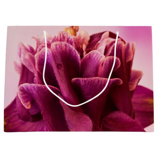 Burgundy Pink Columbine Groot Cadeauzakje (Voorkant)