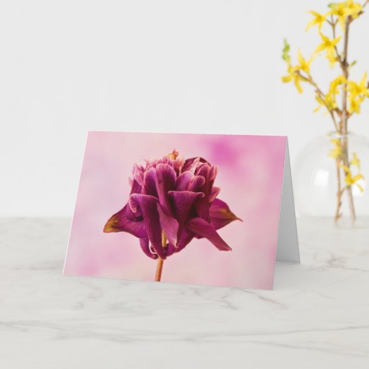 Burgundy Pink Columbine Kaart (Gele Bloem)
