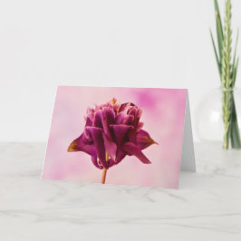 Burgundy Pink Columbine Kaart