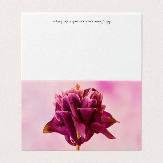 Burgundy Pink Columbine Kaart (Buitenkant ongevouwen)