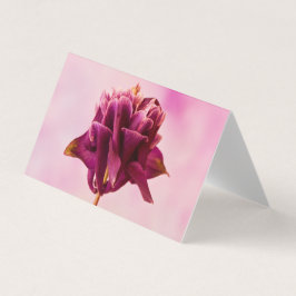 Burgundy Pink Columbine Kaart