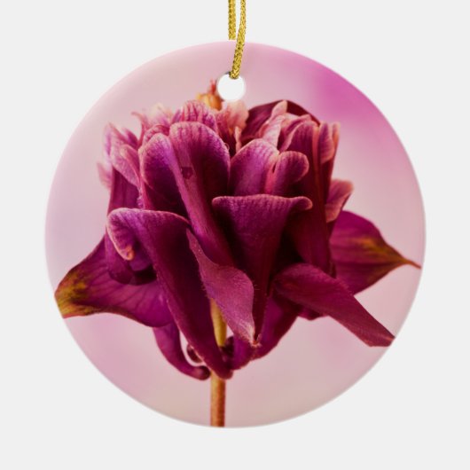 Burgundy Pink Columbine Keramisch Ornament (Voorkant)