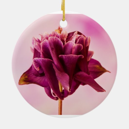 Burgundy Pink Columbine Keramisch Ornament (Achterkant)