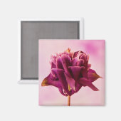 Burgundy Pink Columbine Magneet (Voorkant / Achterkant)