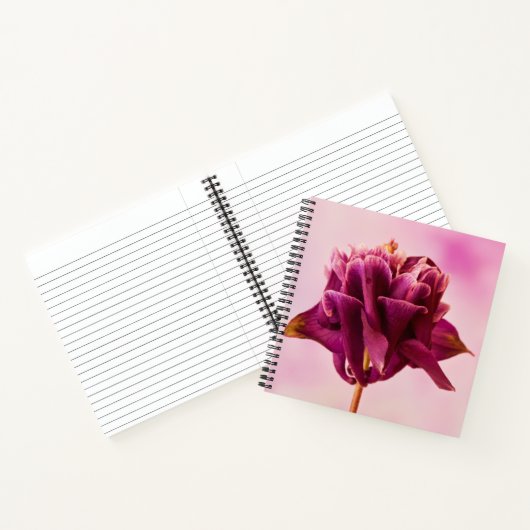 Burgundy Pink Columbine Notitieboek (Binnen)