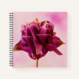 Burgundy Pink Columbine Notitieboek