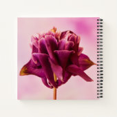 Burgundy Pink Columbine Notitieboek (Achterkant)