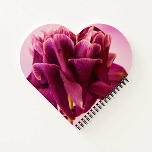 Burgundy Pink Columbine Notitieboek (Achterkant)