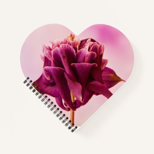 Burgundy Pink Columbine Notitieboek (Voorkant)