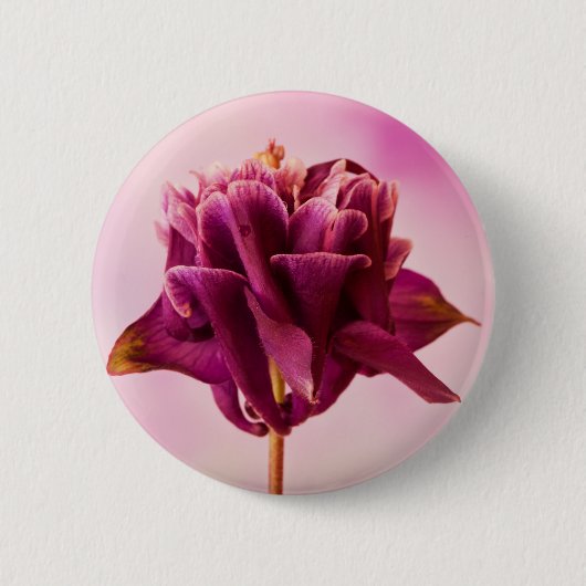Burgundy Pink Columbine Ronde Button 5,7 Cm (Voorkant)