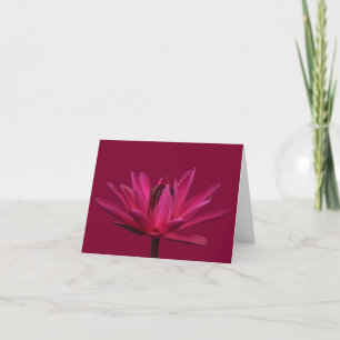 Burgundy Pink Water Lily Blank Nota Wenskaarten Kaart