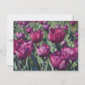 Burgundy Purple Tulip Flower Art Note Card Set Notitiekaartje (Voorkant)