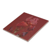 Burgundy Red Iris Garden Flower Tegeltje (Zijkant)