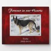 Burgundy Red Silver Pet Memorial Sjabloon Fotoplaat (Voorkant)