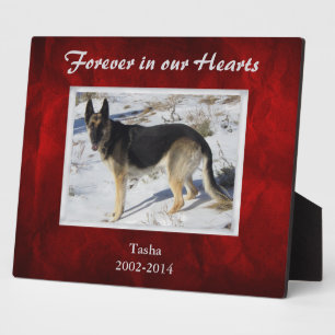 Burgundy Red Silver Pet Memorial Sjabloon Fotoplaat