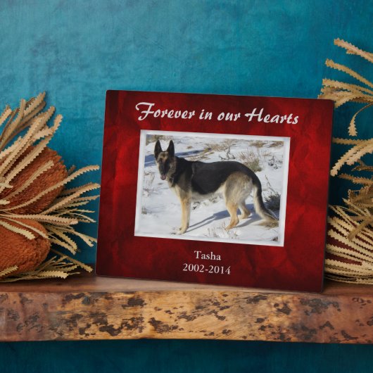 Burgundy Red Silver Pet Memorial Sjabloon Fotoplaat (Zijkant)