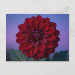 Burgundy Rode Dahlia Bloem Elegant Briefkaart
