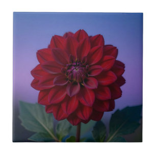 Burgundy Rode Dahlia Bloem Elegant Tegeltje
