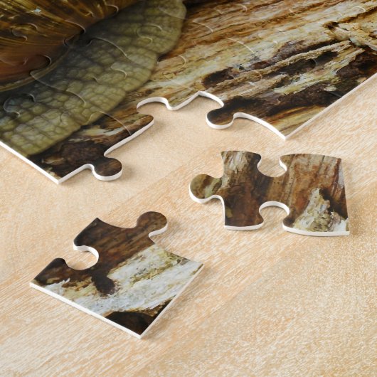 Burgundy Roman Edible Snail Helix Pomatia Legpuzzel (Zijkant)